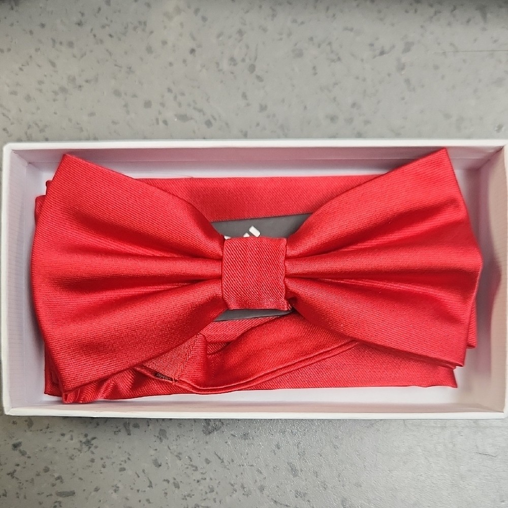 Elegant Bow Tie And Hanky